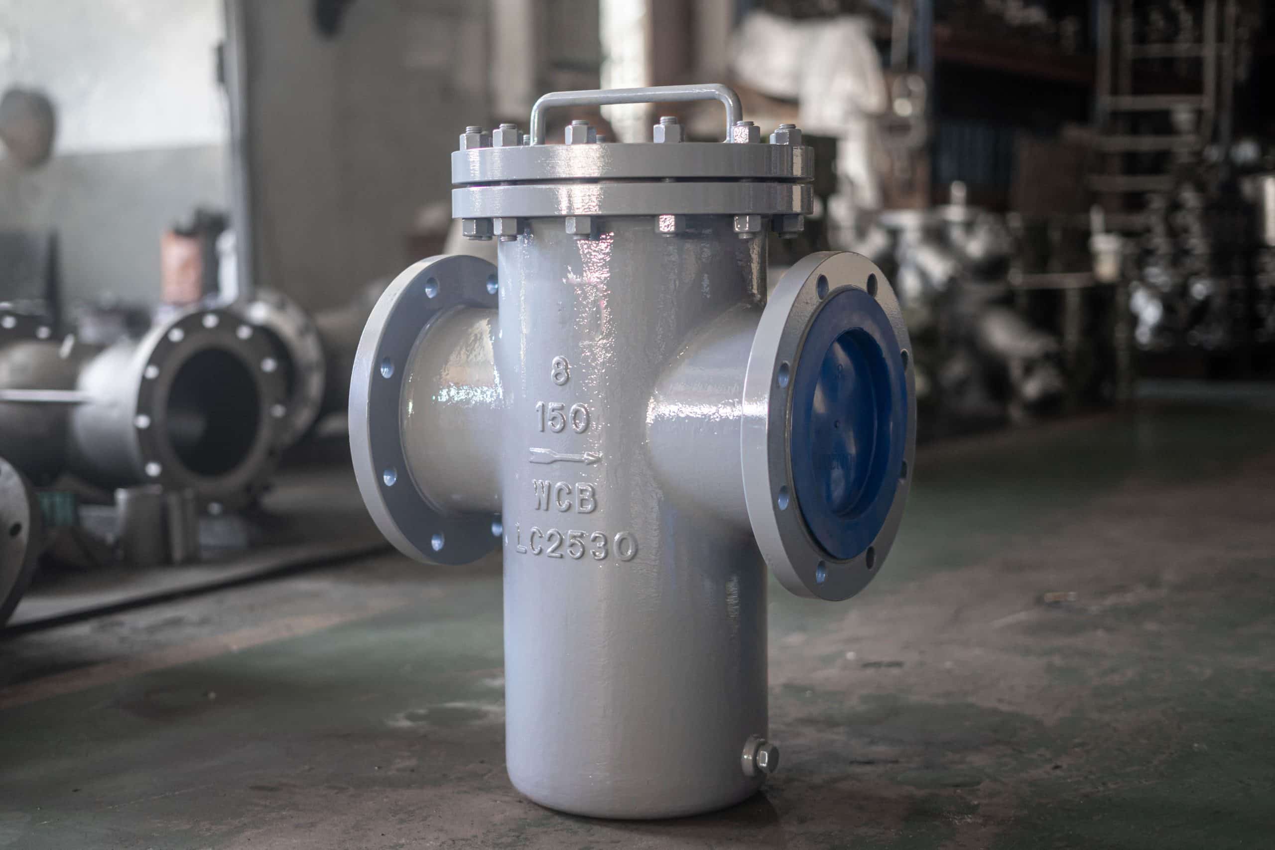 Filtro de cesta ANSI 150 RF de 8 polegadas em aço carbono WCB