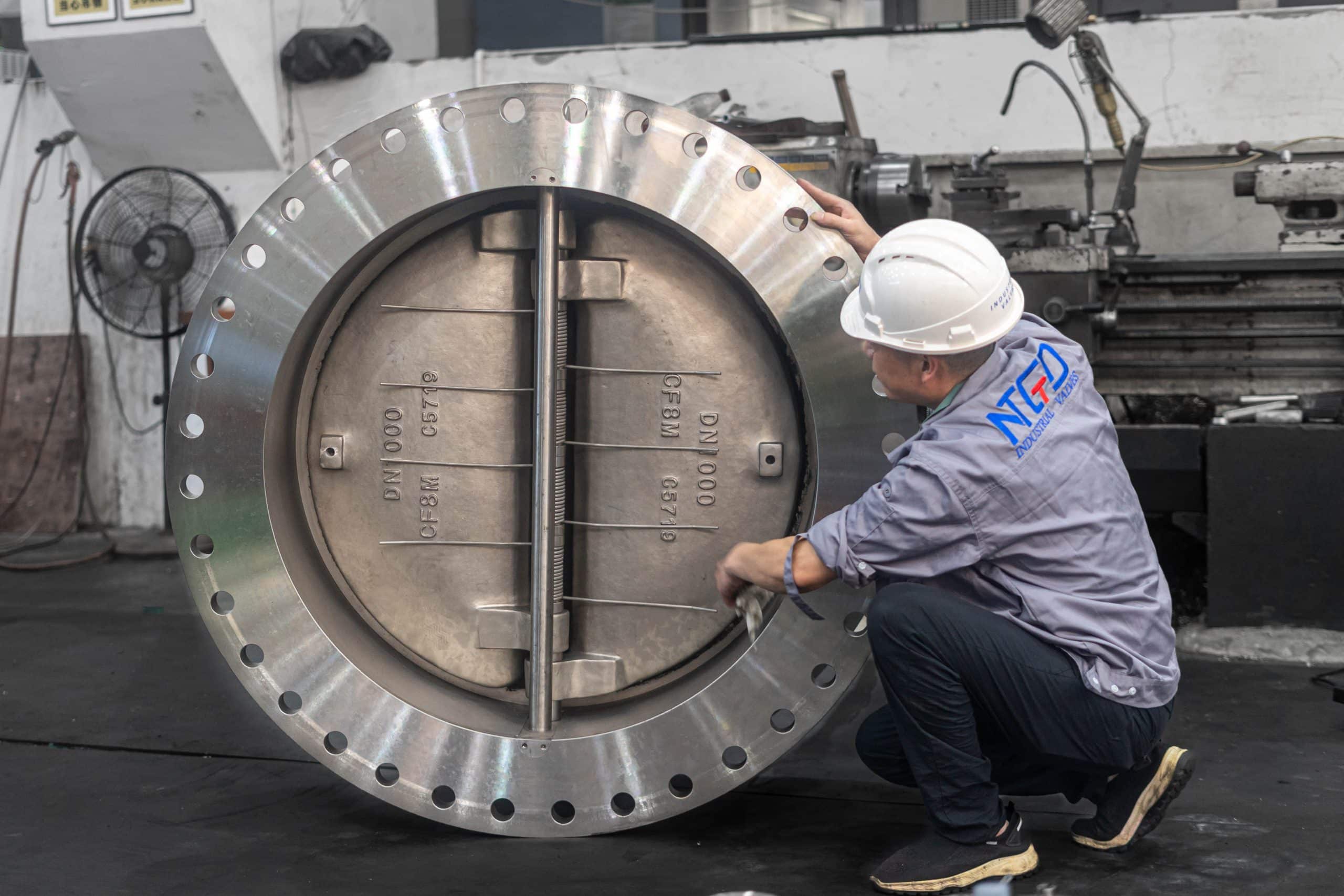 dual plate check valve industrial reference photo