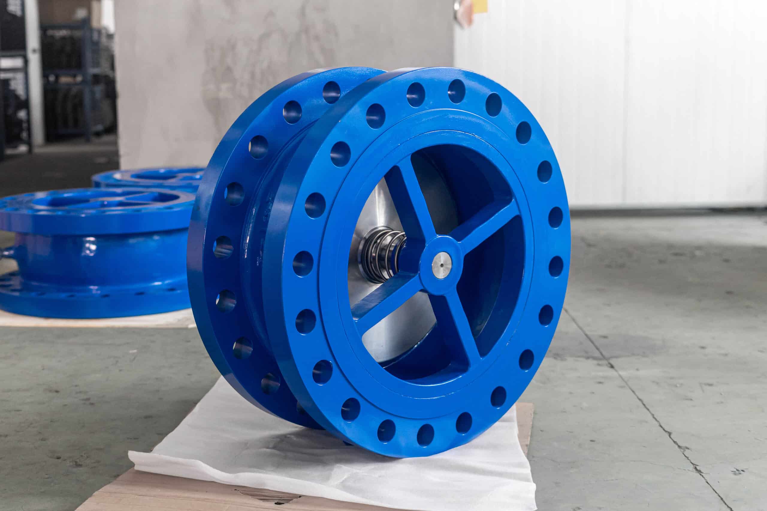 Real flanged nozzle check valve with visible spring and guided internal disc.