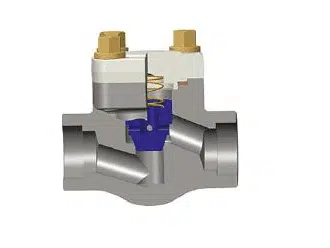 Spring Loaded Check Valve