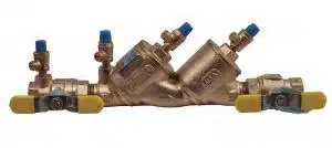 Dual check valve