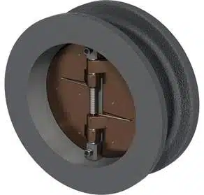 Wafer dual check valve