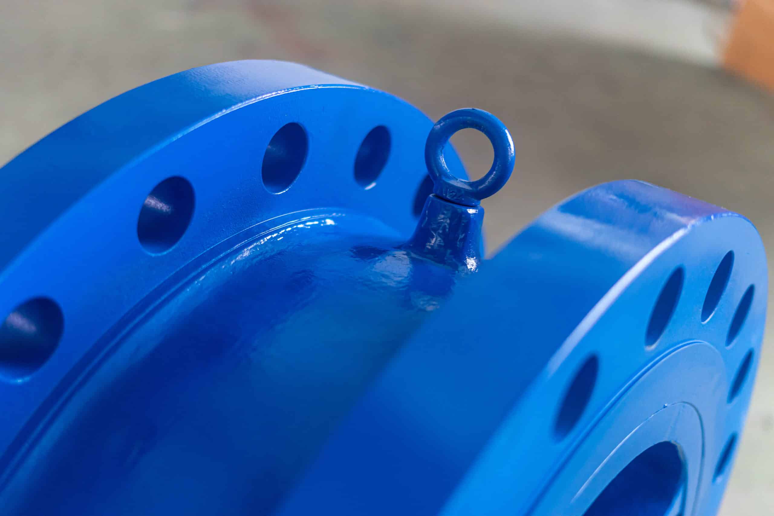 Close-up of a blue flanged nozzle check valve body with lifting eye and flange holes.