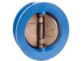 Dual plate wafer check valve