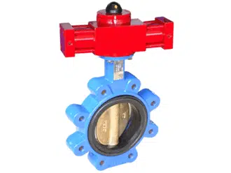 Lug Butterfly Valve Manufacturer
