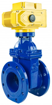 Electric actuated wedge gate valve