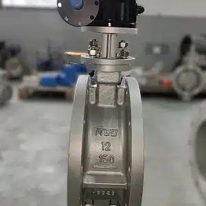 double offset butterfly valve