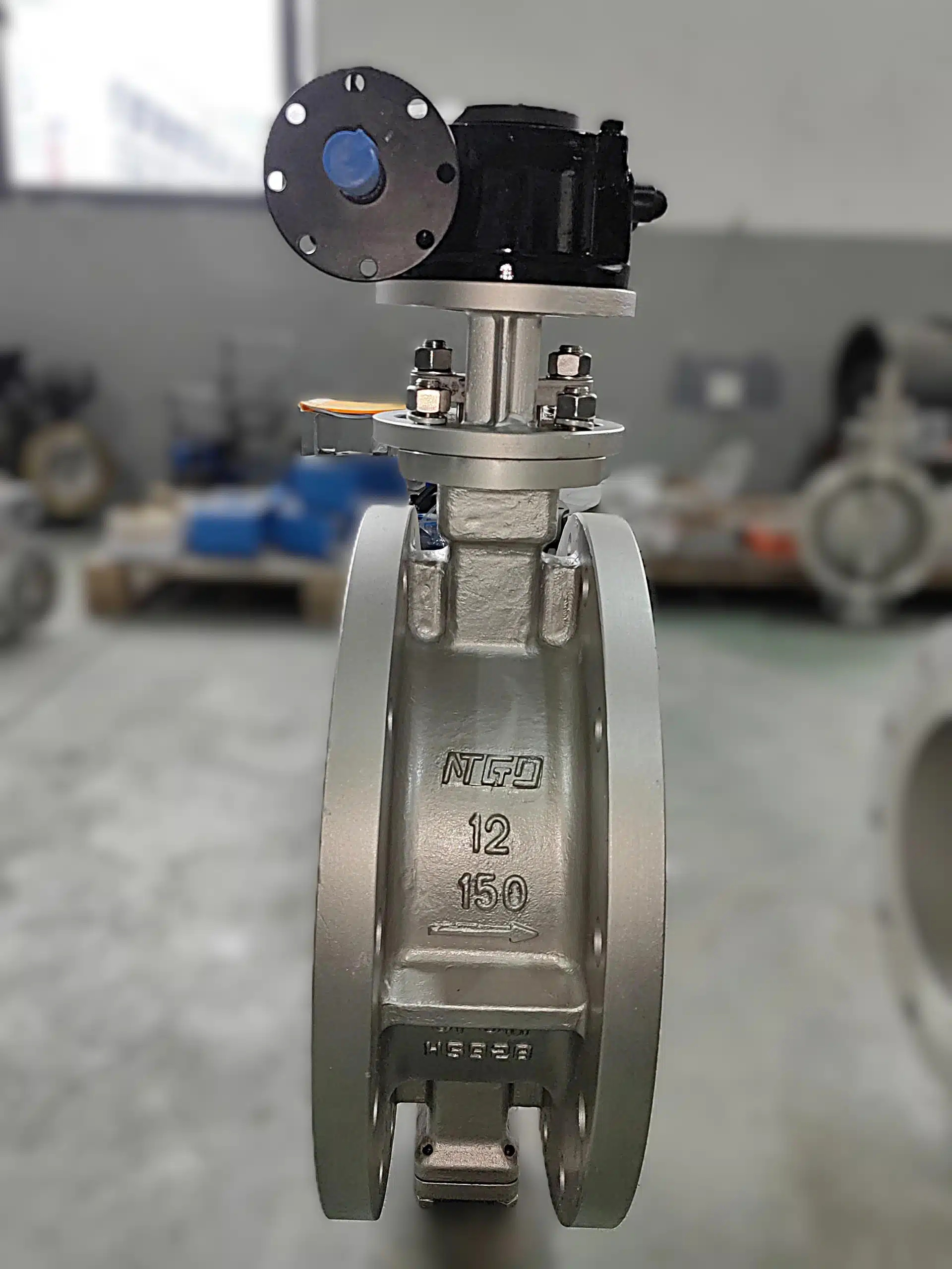 double offset butterfly valve
