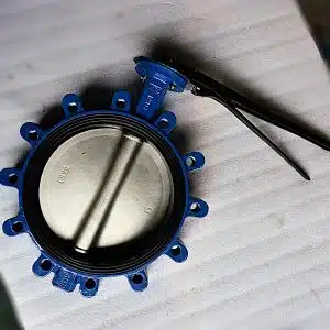 concentric butterfly valve