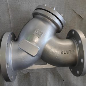 Y strainer