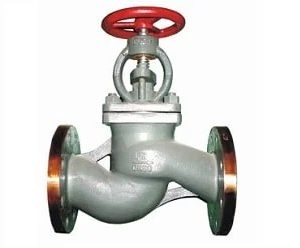 Globe Check Valve