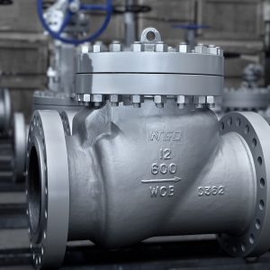 swing check valve