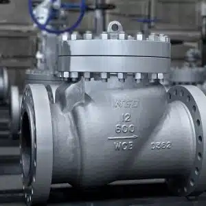 swing check valve