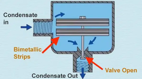 Diagrama del principio de funcionamiento de un purgador de vapor termostático bimetálico que muestra la entrada de condensado y la apertura de la válvula