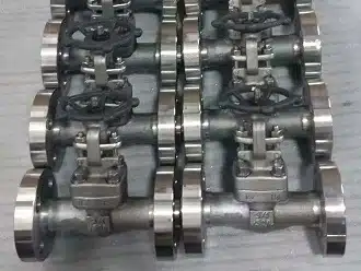 Задвижка из кованой стали