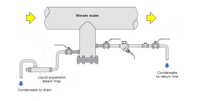 Diagrama de instalación de un purgador de vapor termostático de expansión líquida en una tubería principal de vapor, que muestra la configuración de la línea de drenaje y retorno de condensado