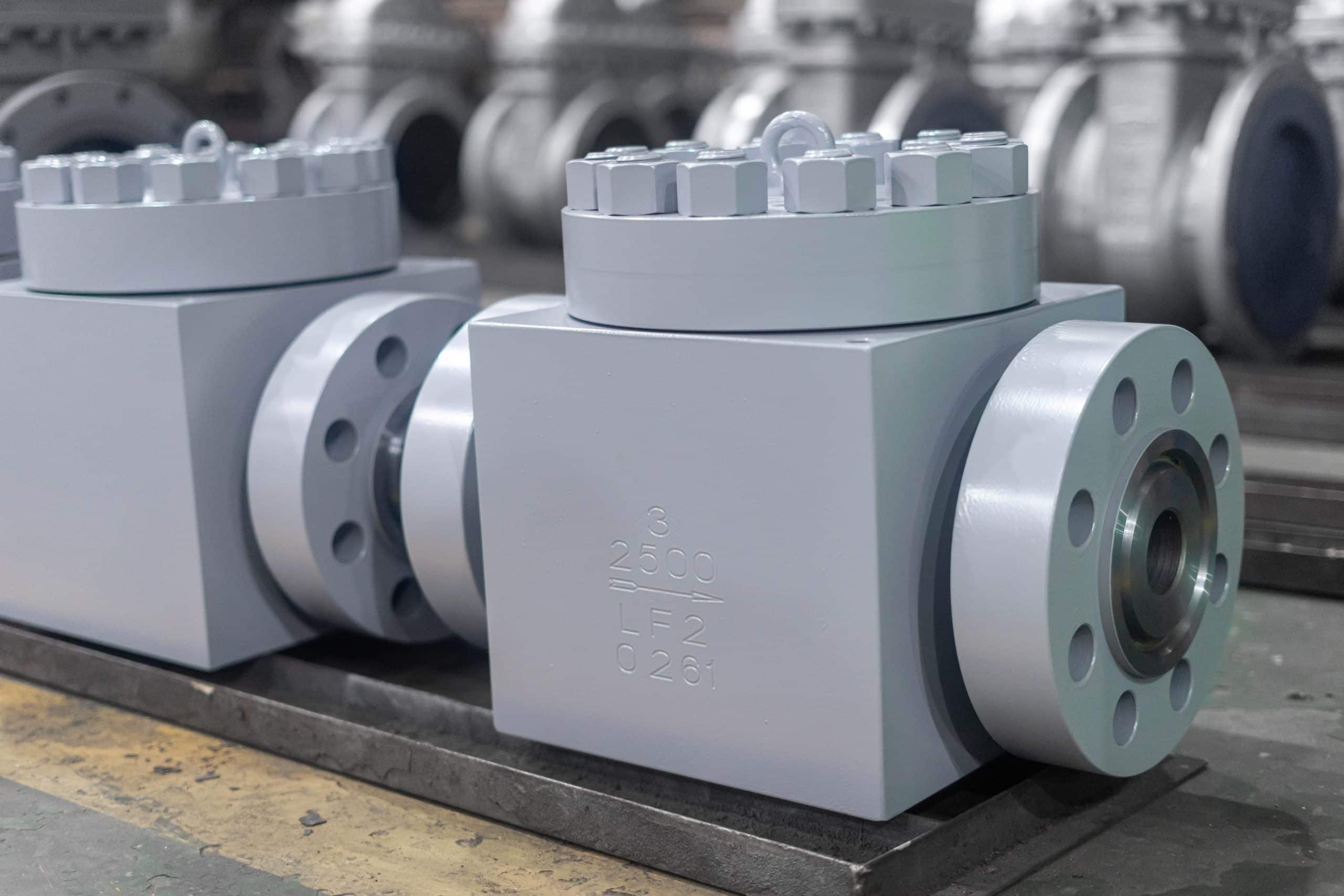 Gros plan du clapet anti-retour à piston en acier forgé montrant le chapeau boulonné et la conception industrielle compacte
