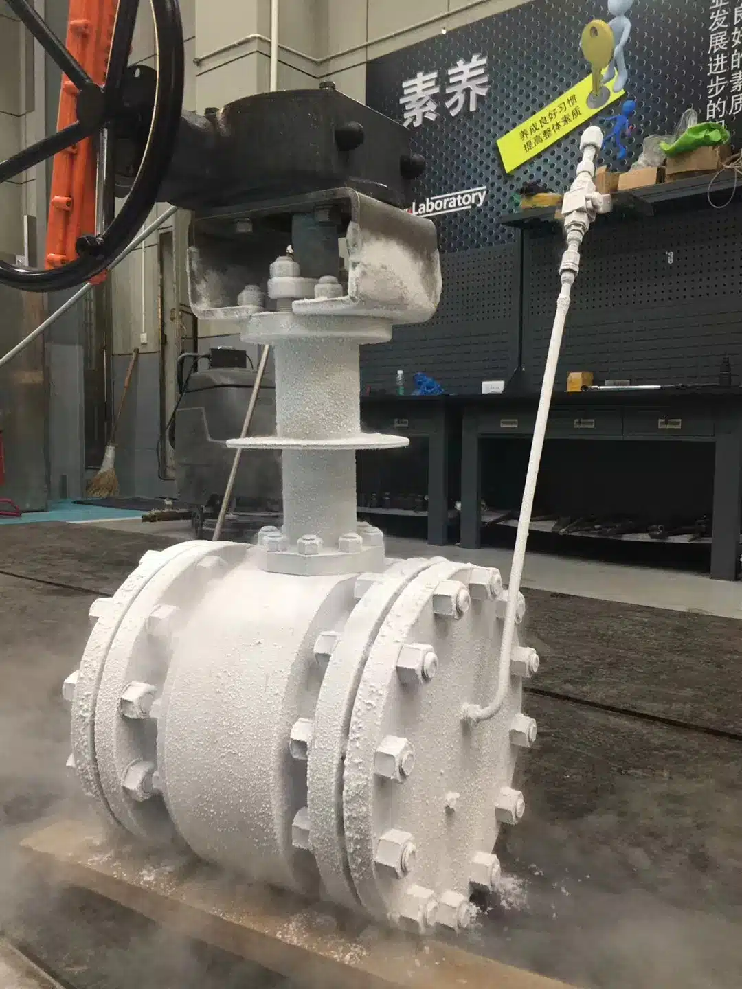 cryogenic ball valves