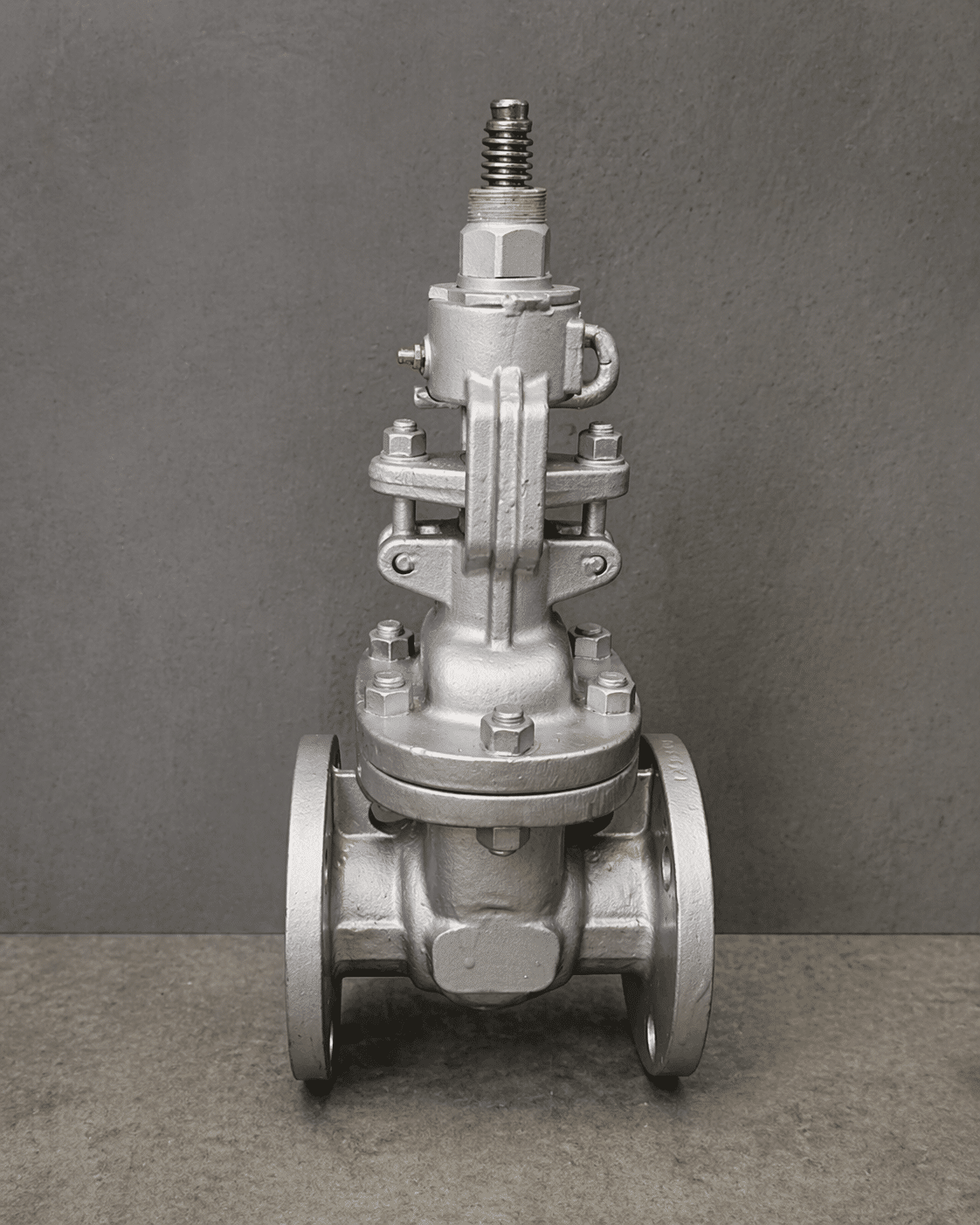 Real rising stem gate valve product photo with exposed threaded stem and yoke