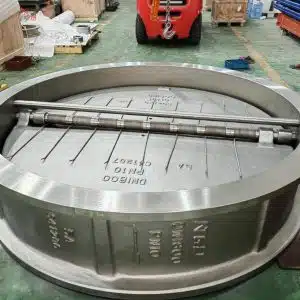 Non Return Check Valve