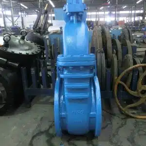 Resilient Seated Gate Valve
