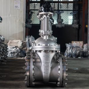 Katup Gerbang API 600