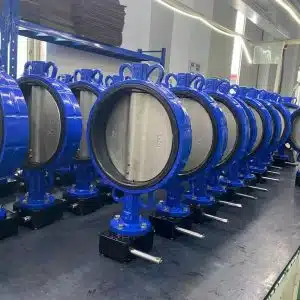 Wafer Type Butterfly Valve