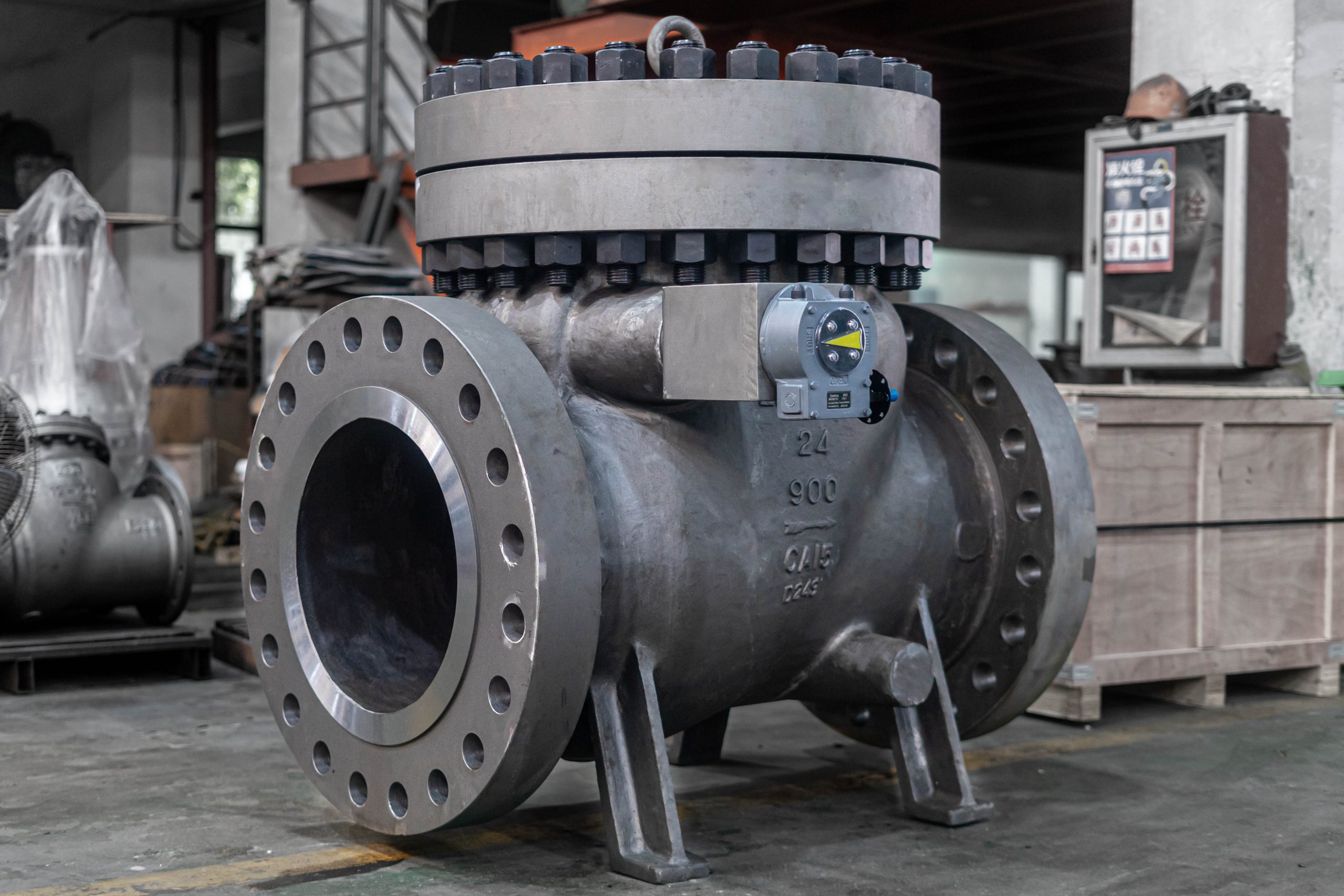 check valve manufacturer