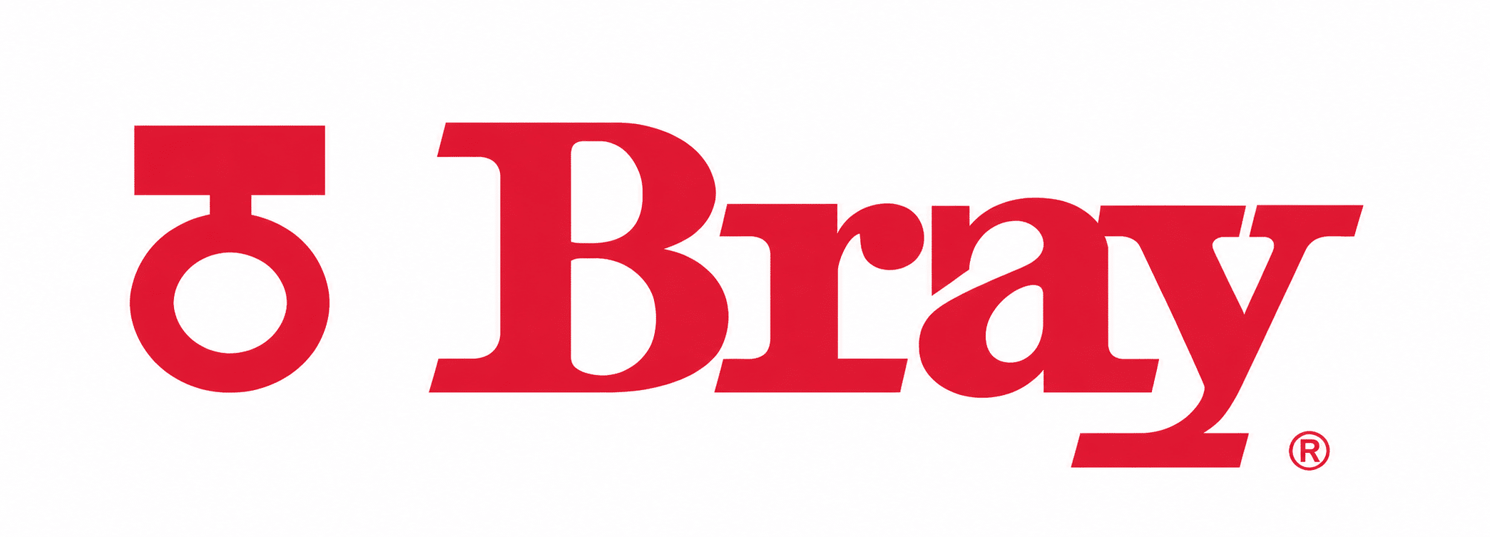 Bray International company logo