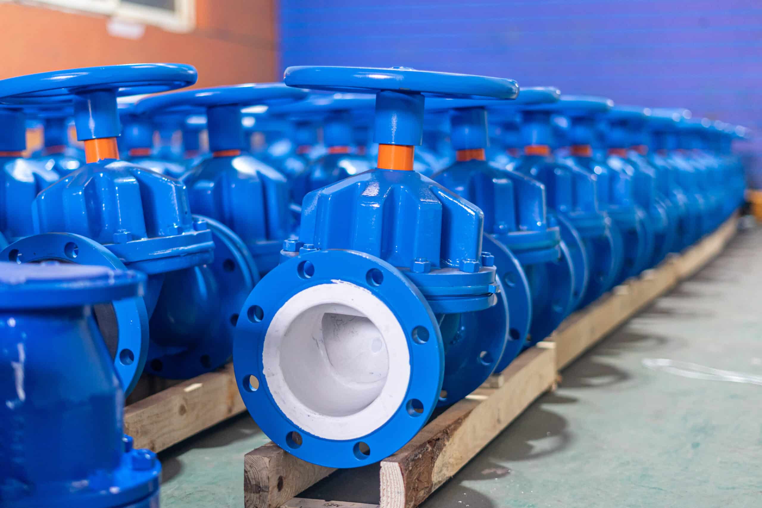 Blue lined industrial valves showing corrosion-resistant valve lining route