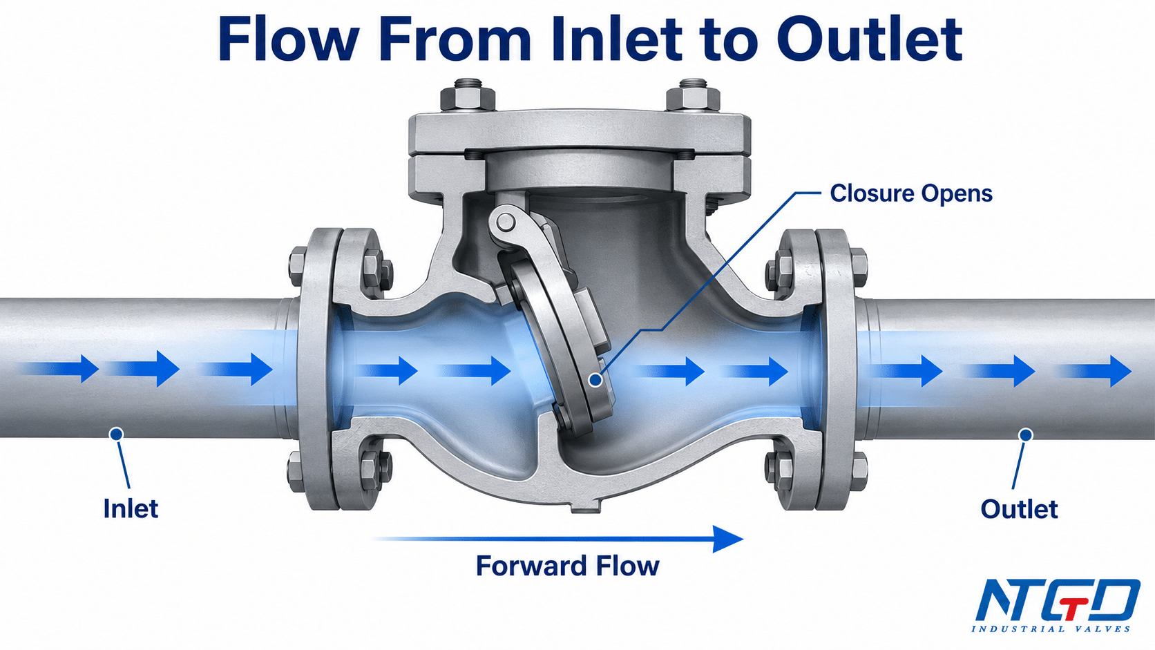 Cutaway diagram showing forward flow opening a check valve from inlet to outlet.