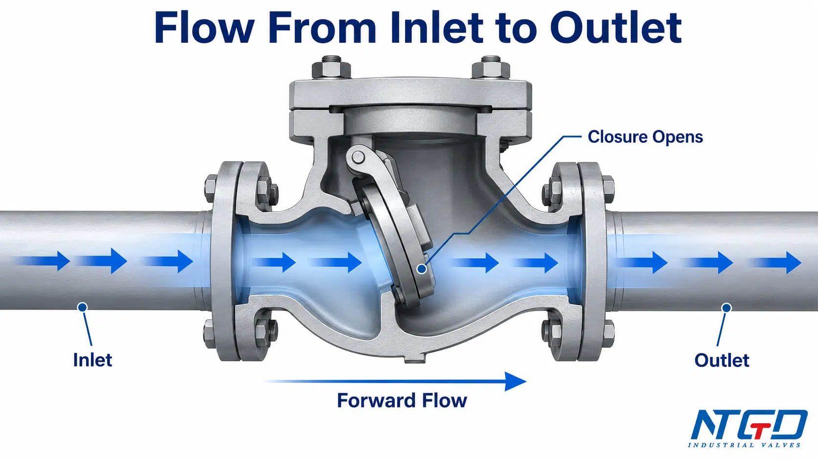 Cutaway diagram showing forward flow opening a check valve from inlet to outlet.