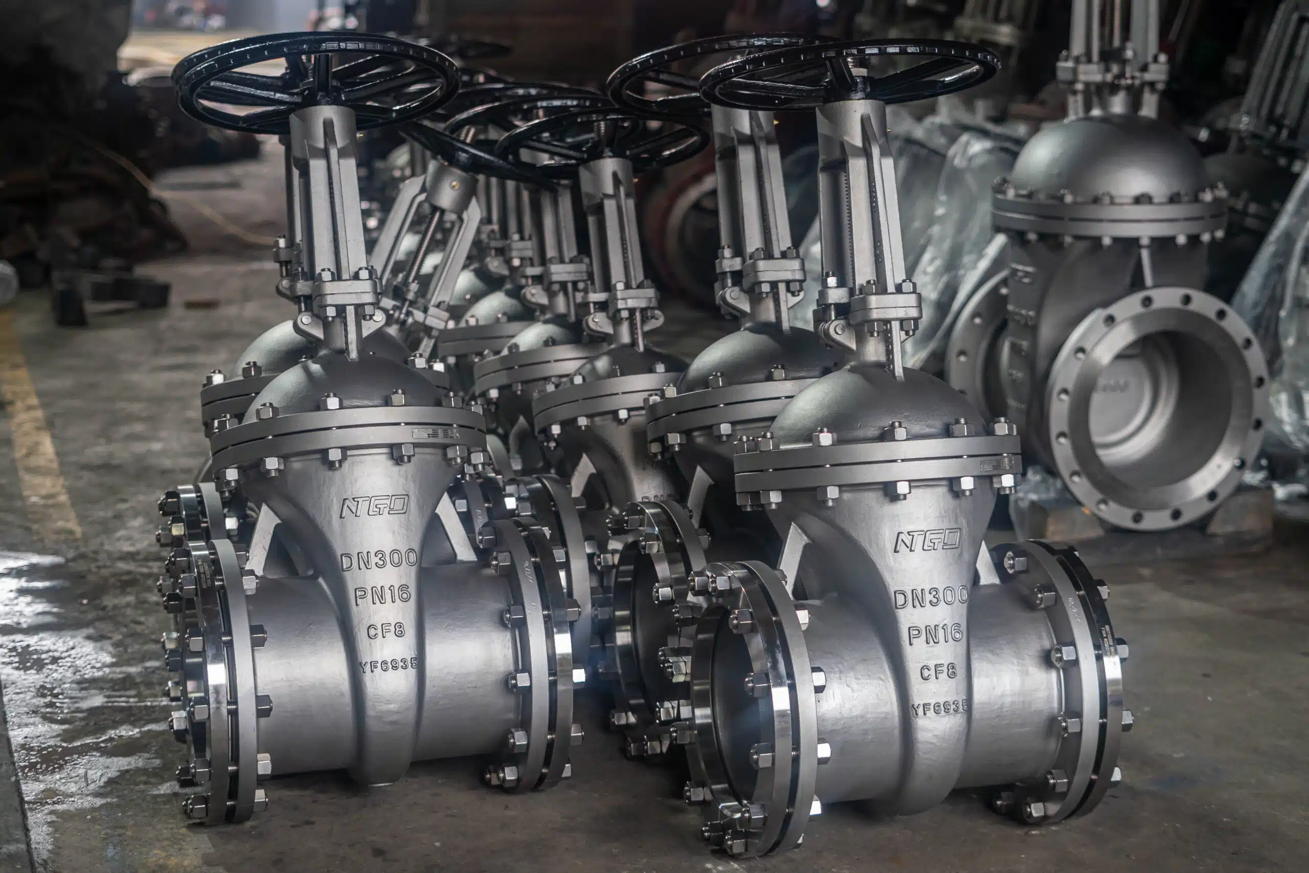Real DN300 PN16 CF8 rising stem flanged gate valves in NTGD workshop.