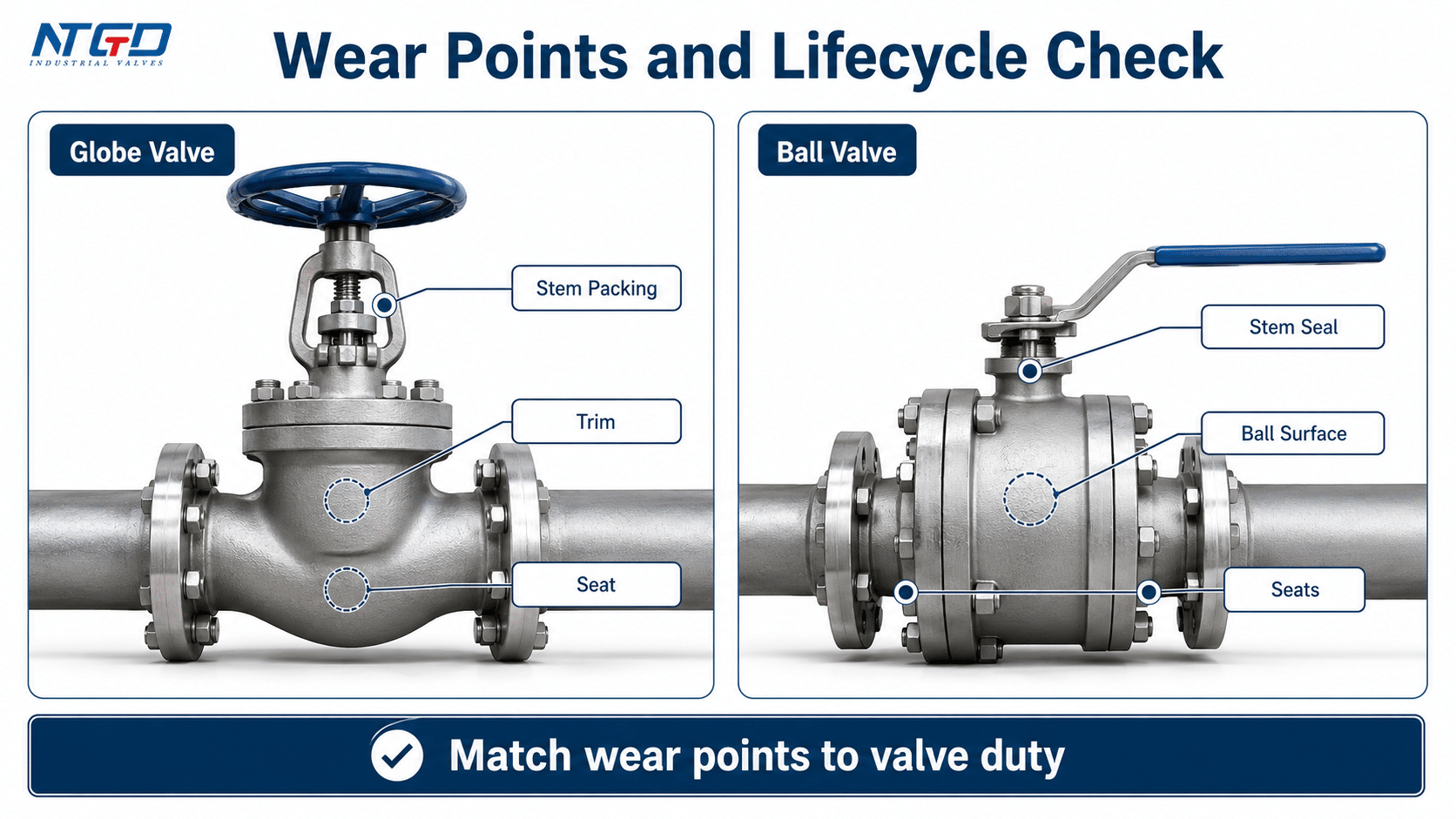 External globe valve and ball valve wear points board showing lifecycle check areas without cutaway.