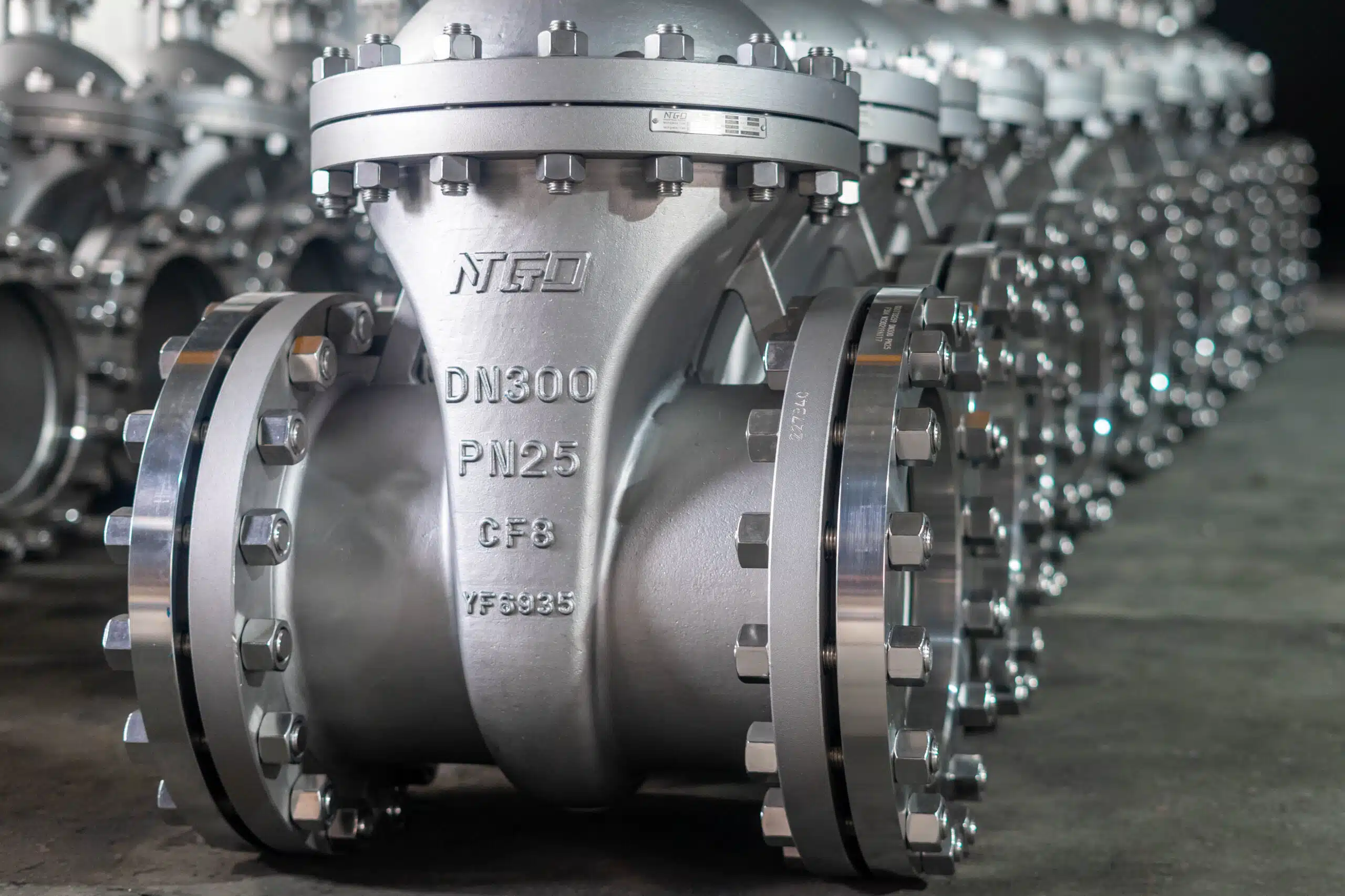 Close-up of NTGD DN300 PN25 CF8 gate valve body marking and flanged ends.