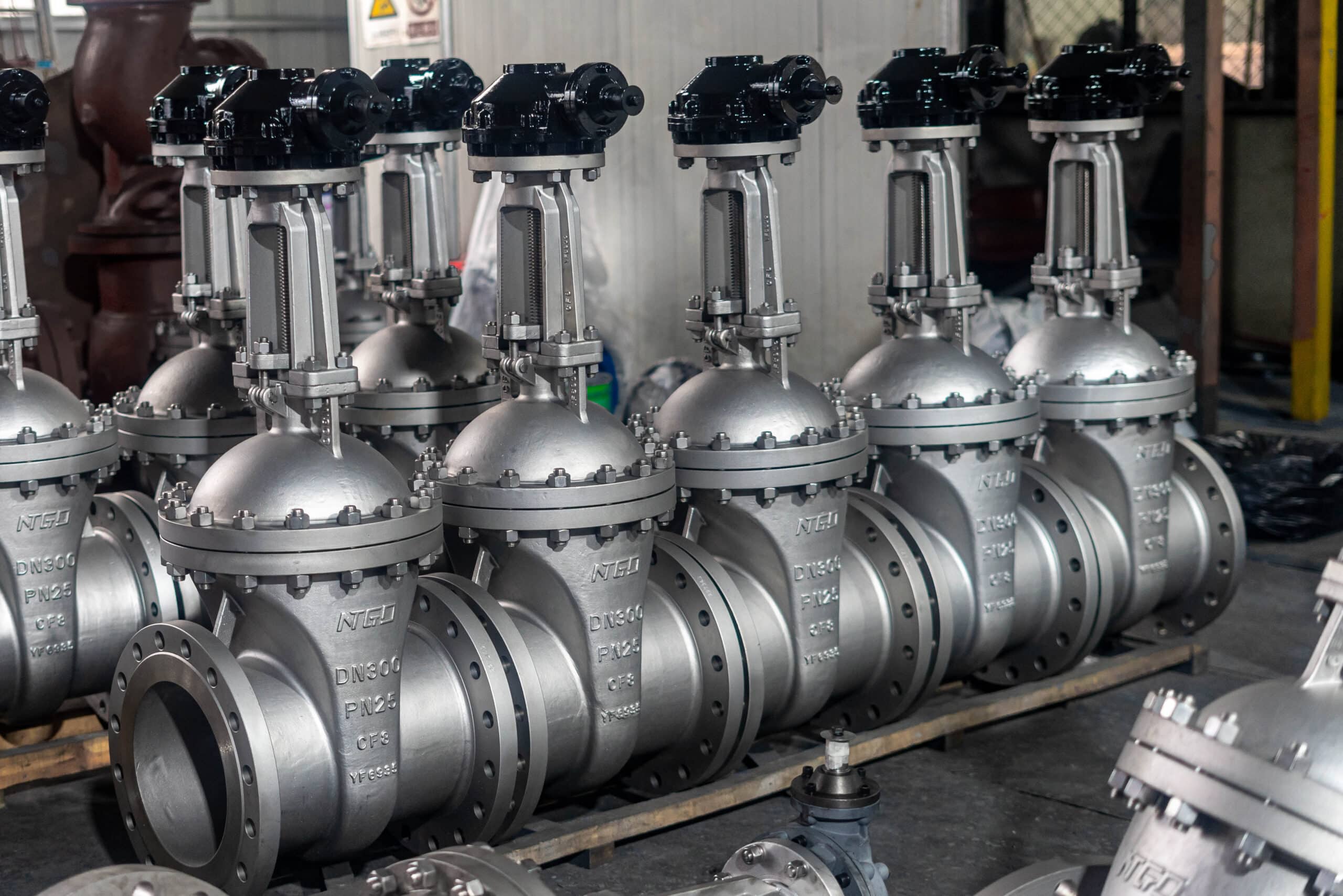 Real NTGD DN300 PN25 CF8 rising stem gate valves in workshop.