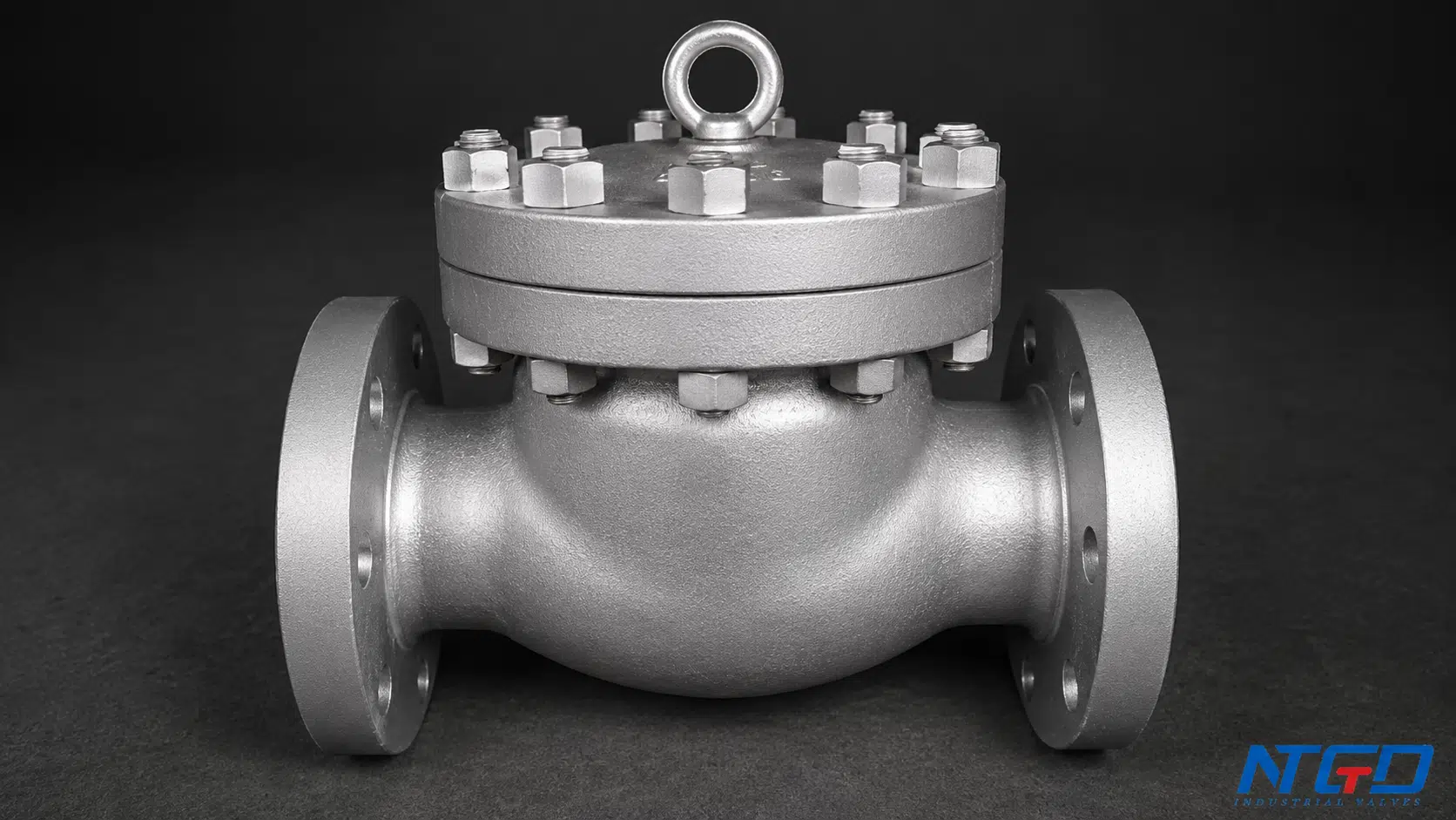 Industrial titanium check valve product photo with flanged body and bolted cover.